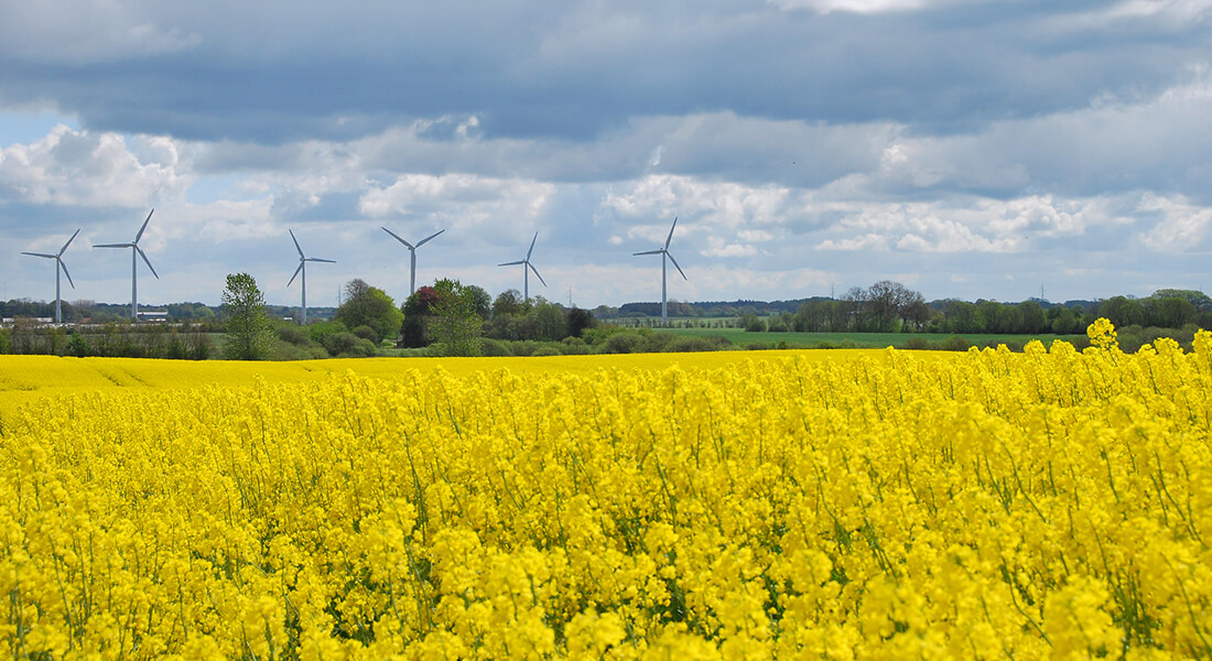 Wind mills. Photo: Flickr - julochka - CC BY-NC 2.0